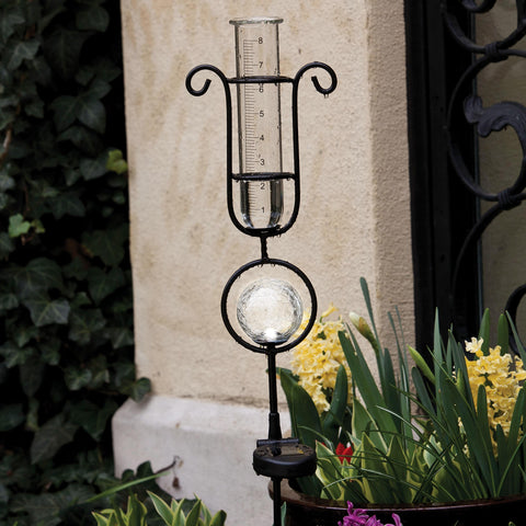 Rain Gauge with Solar Light