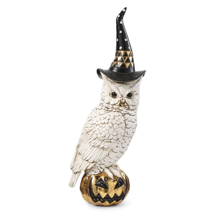 Owl with Witches Hat