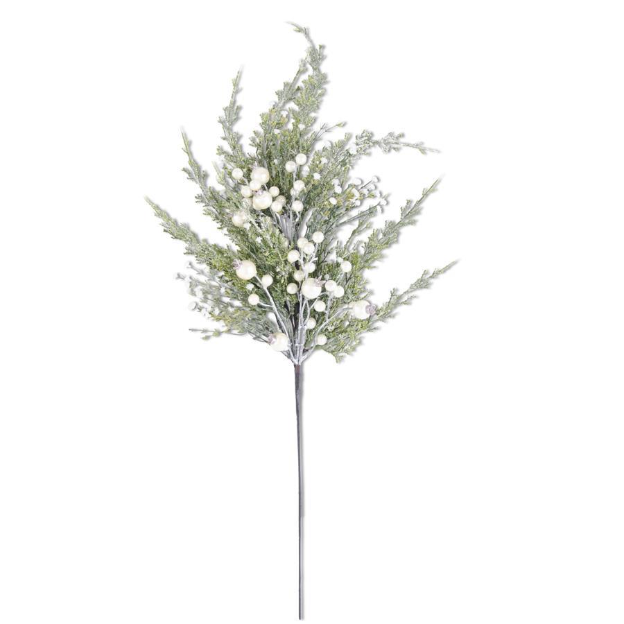 Stem - Snowy Cypress Pine with Pearls