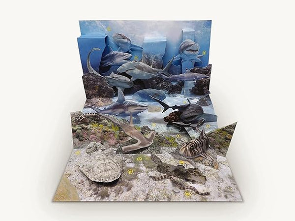 Shark World: A 3-D Pop Up Book