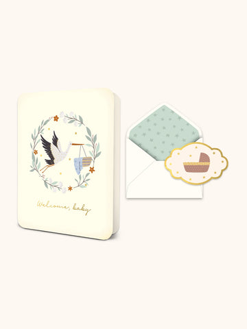 Welcome Baby Stork Greeting Card