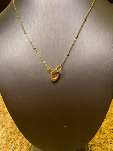 Dainty Chain with Charm Closure Necklace