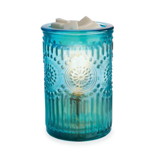 Parisian Glass, Vintage Bulb Illumination Warmer