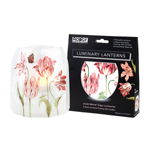Jacob Marrell Tulips,  Luminary Lantern