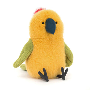 Budgby Parrot
