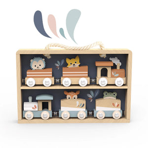 Train Set with Display Case