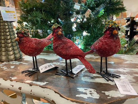 Cardinal with Holly Hats