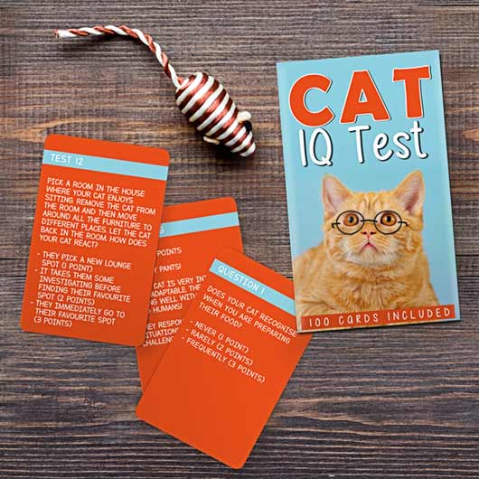 Cat IQ Trivia Test