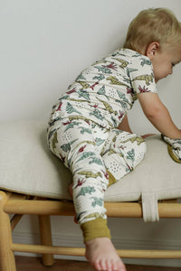 Dino 2 Piece Bamboo Pajama Set: 18-24 Months