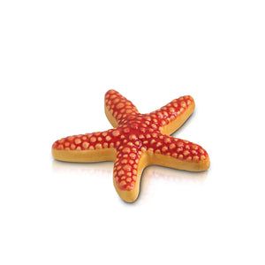 Sea Star Mini