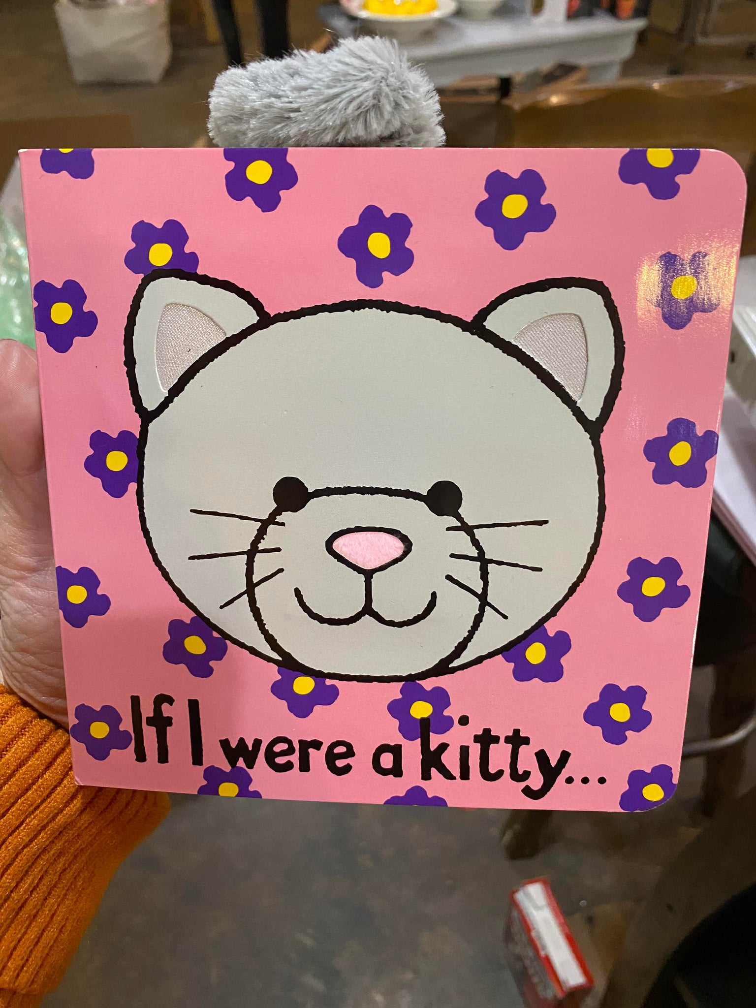 Book - If I Were a Kitty