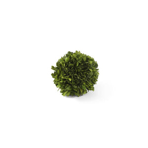 Preserved Boxwood Balls