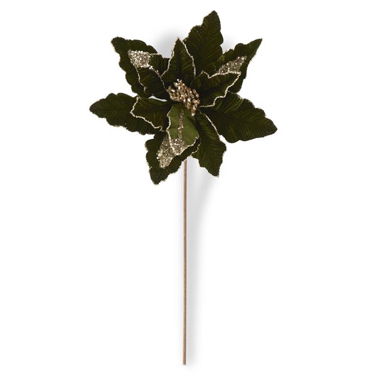 Dk Green Velvet & Gold Poinsettia