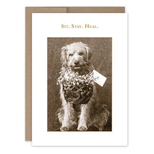 Shannon Martin Cards - Sit. Stay. Heal
