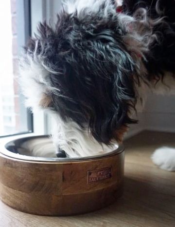 Wood Dog Bowl
