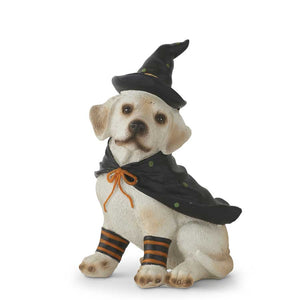 Dog in Witches Hat & Cape