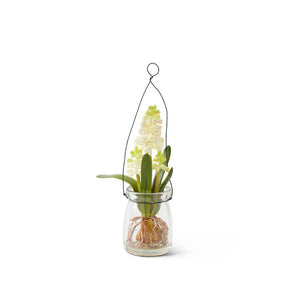 Lily of the Valley in Jar