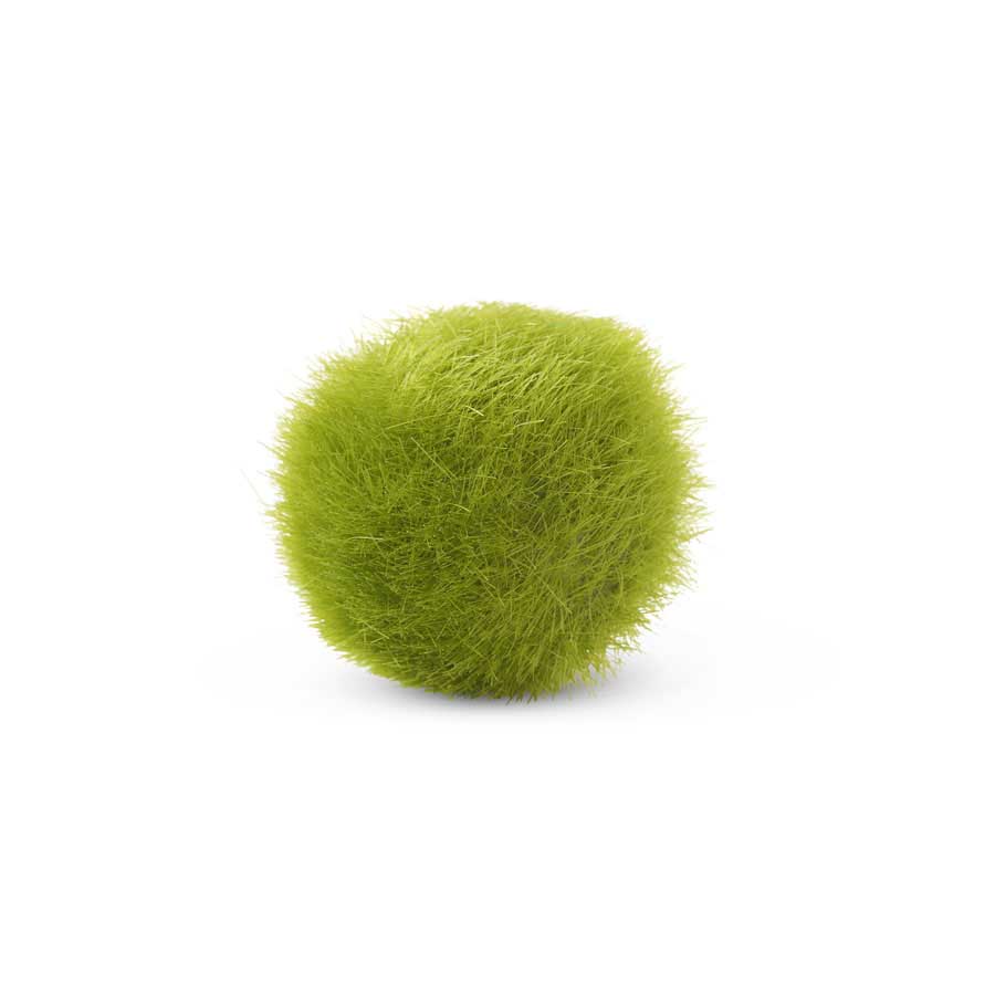 Moss Ball